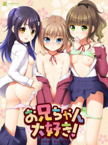 【FANZA アダルトゲーム 】 ヌキコレvol.34 お兄ちゃん大好き！