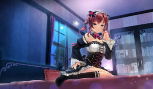 【FANZA アダルトゲーム 】 カスタムオーダーメイド3D2＆2.5 キャラクターパックGP対応版 天然サディスティックな小悪魔