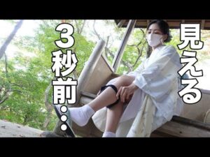 【しろねこみゃあこ】野外で解放してしまいました…