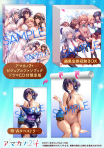 【DMM エロ同人】ピロ水 受注生産『アマカノ2＋ ドラマCD付』＋画集収納BOX＋D Wタペストリー