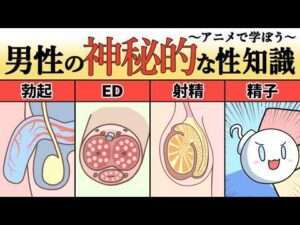 【アニメ】男性の神秘的な性知識４選　〜精子・射精・勃起・ED〜