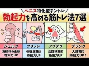 【７選】筋トレで勃起力を鍛える特化トレーニング