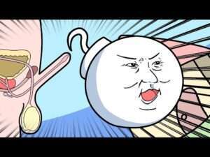 【アニメで学ぼう♫】射精の仕組み