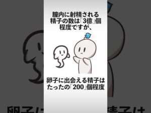 ※本当の奇跡です！！貴方が産まれた確率！