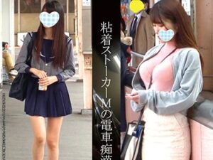 夜中に家に忍び込み、寝ている少女を強姦し、凌辱する！人気女子校生にストーカー粘着、自宅特定！【エロ動画 天鹿】