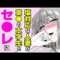 エロ漫画 同人 レビュー 天鹿 | 【エロ漫画】M男に調教!? 黒レザーボンテージ姿のムチムチ彼女⇨草食系男子の彼氏が新しい性に目覚めて…!?「アイアン・フェイスを蕩かせて」【公式・文苑堂】【ボイスコミック】