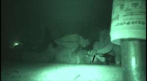 【新作 エロ動画】ロ●タ美少女が野外で “犯されまくる “ロ●ロ映像集 8時間【DUGA】