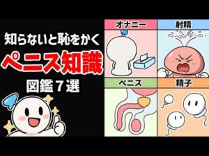 【アニメ解説】知らないと後悔する男性の性知識７選