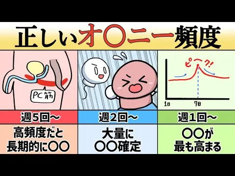 【2025年 性 教育 おすすめ】【科学】正しい自慰行為の頻度３選