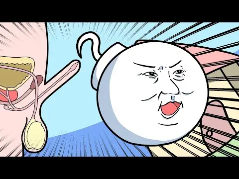 【2025年 性 教育 おすすめ】【アニメで学ぼう♫】射精の仕組み