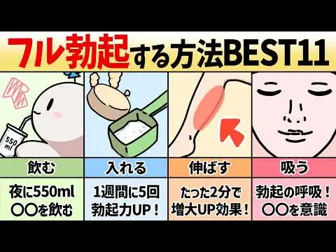 【2025年 性 教育 おすすめ】　【フル勃ち】勃起力が上がる科学的な方法BEST11！