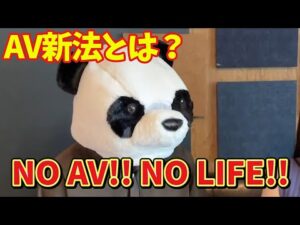 【AV新法】って何？【セクシー女優】月島さくらさんに聞いてみました